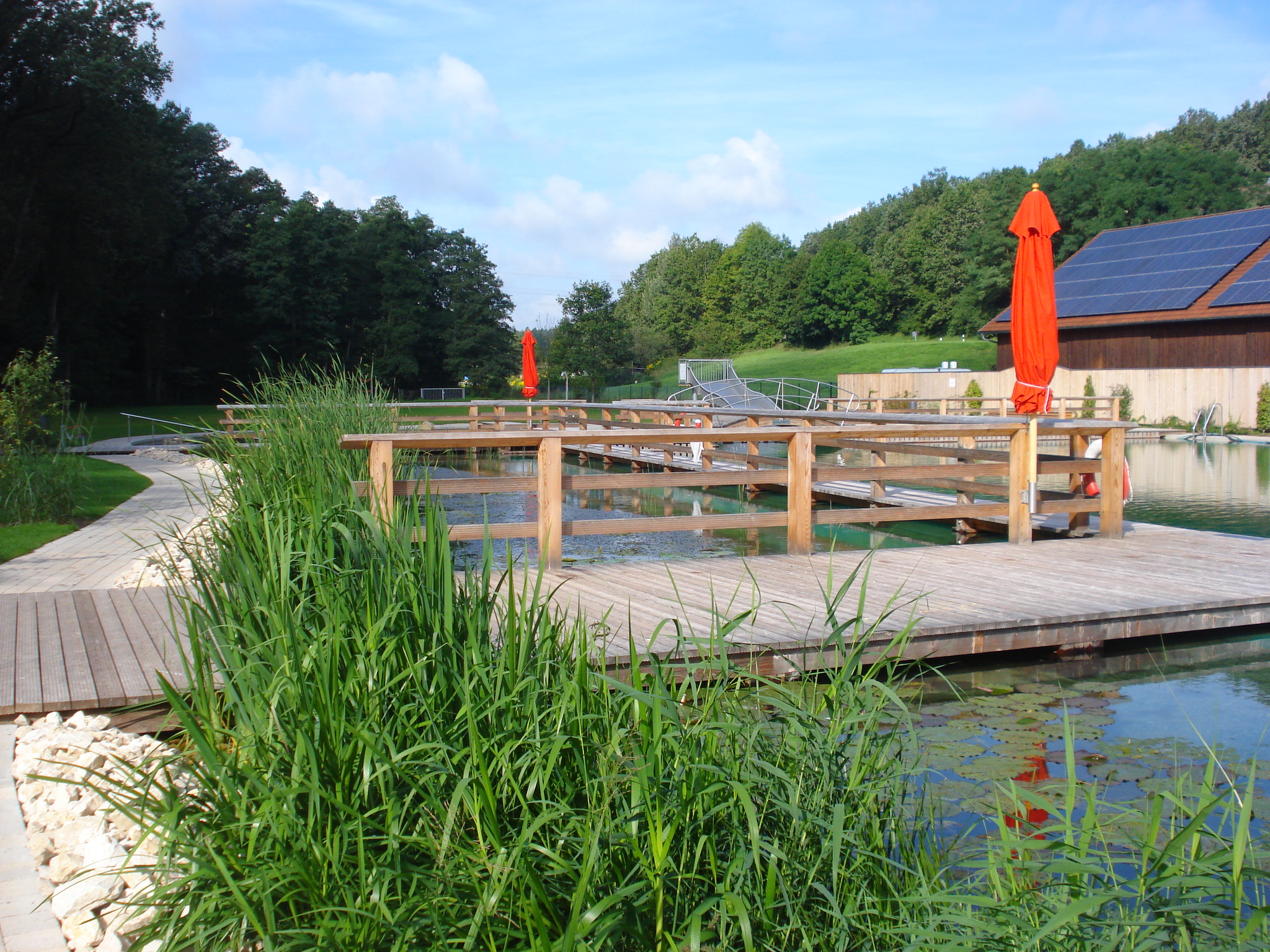 Grossansicht in neuem Fenster: Naturbad Grossansicht in neuem Fenster: Naturbad