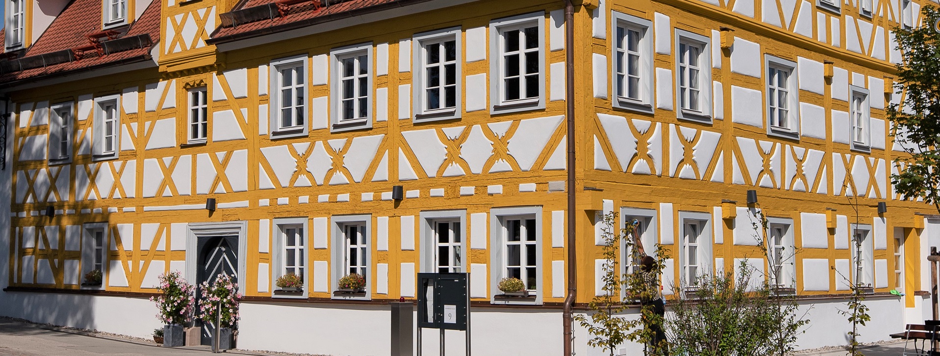 Header_Gelber_Löwe_1